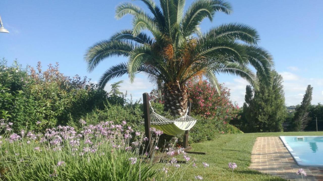 Agriturismo La Vecchia Fonte Castelbellino Exterior photo